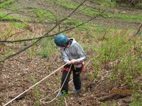 Abseiling photo