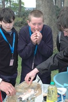 Bushcraft photo