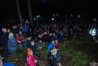 Campfire photo