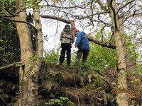 Climbing Wall photo