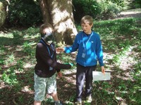 Frisbee Golf photo