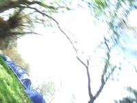 Frisbee Golf photo