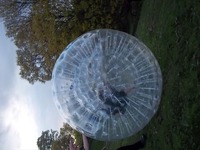 Hamster Zorbs photo