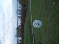 Hamster Zorbs photo