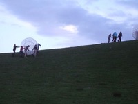Hamster Zorbs photo