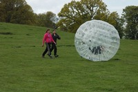 Hamster Zorbs photo