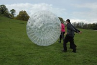 Hamster Zorbs photo