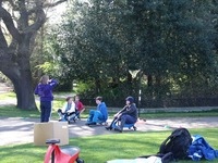 Pedal Carts photo
