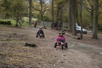 Pedal Carts photo