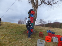 Crate Climbing photo
