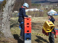 Crate Climbing photo