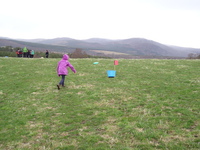 Frisbee Golf photo