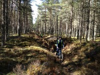 Mountain Biking photo