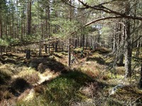 Mountain Biking photo