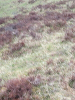 Mountain Rescue photo
