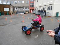 Pedal Cars photo