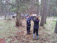 Obstacle Course photo