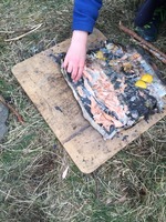 Backwoods Cooking :: Tree Climb Leap of Faith  photo