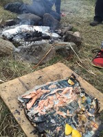 Backwoods Cooking :: Tree Climb Leap of Faith  photo
