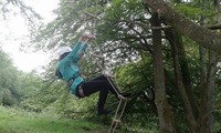 Rope Ladder Climb :: No I In Team photo