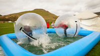 Water Walkers photo