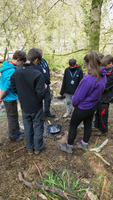 Bush Craft / Gorge Walk photo