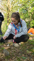 Bush Craft / Gorge Walk photo