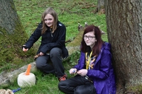 Bushcraft photo