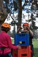 Crate Climbing photo