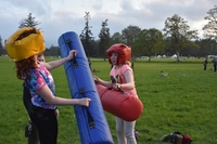 Gladiator Joust photo