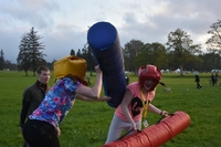 Gladiator Joust photo