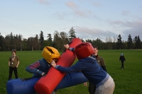 Gladiator Joust photo