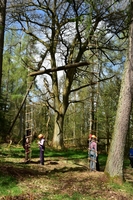 High Balance photo