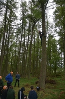 Leap of Faith photo