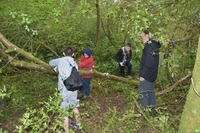 Service Project photo