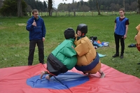 Sumo photo