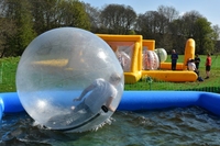 Water Walkers photo