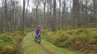 Mountain Biking photo