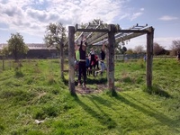 Assault Course photo
