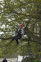 3G Swing photo
