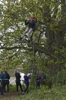 3G Swing photo