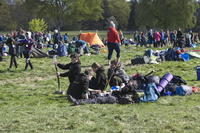 Striking Camp photo