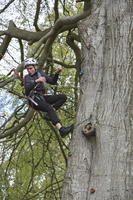 Leap of faith photo