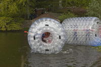 Water Rollers photo