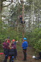 Wobble Pole photo