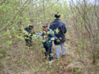 Service Project photo