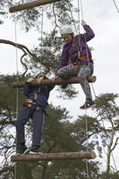 Jacobs Ladder photo