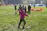 Tomahawk Throwing photo