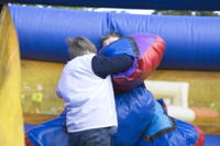 Bouncy Boxing photo