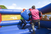 Bouncy Boxing photo